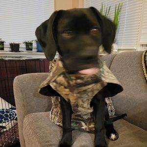 Meet your Posher, Amy